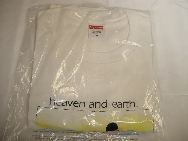 Supreme  |19AW ◆ Size M ◆ Supreme Heaven and Earth Tee T-shirt white