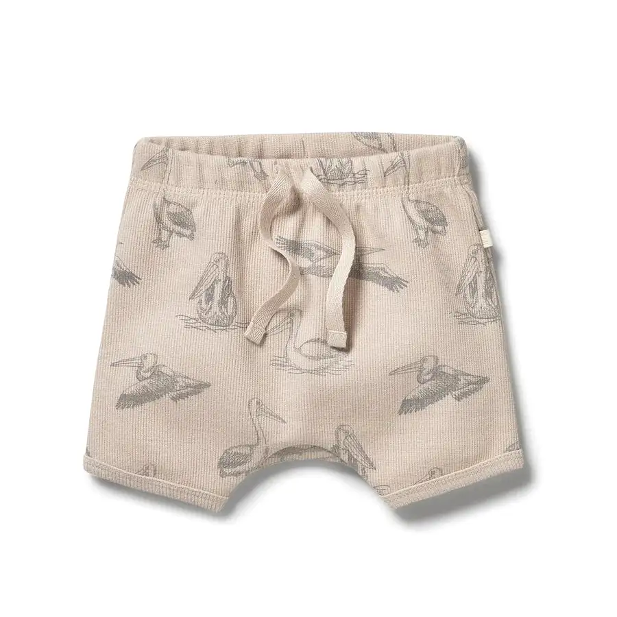 Wilson & Frenchy - Organic Rib Tie Front Shorts - Little Pelican - Size 0-3mth