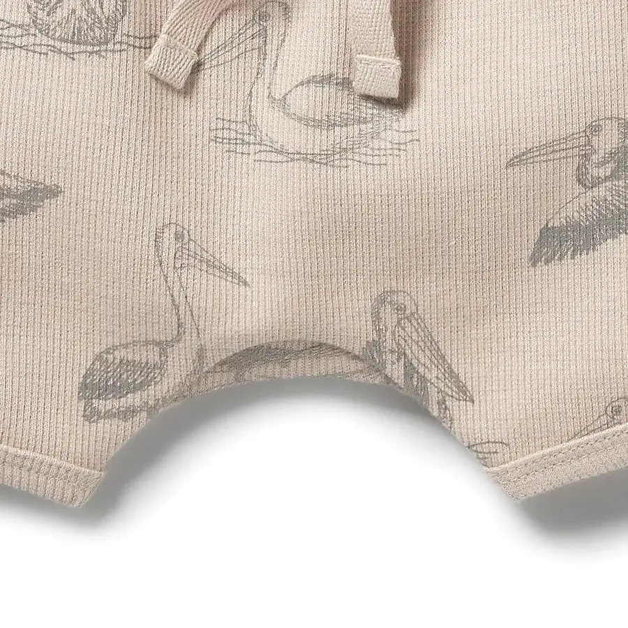 Wilson & Frenchy - Organic Rib Tie Front Shorts - Little Pelican - Size 0-3mth